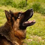 Venkovský dům Casa Luce