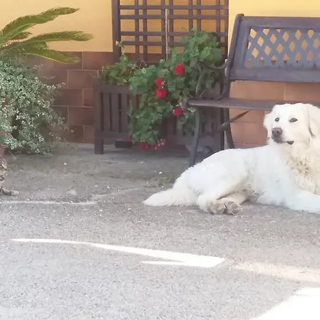 בית כפרי Casa Luce