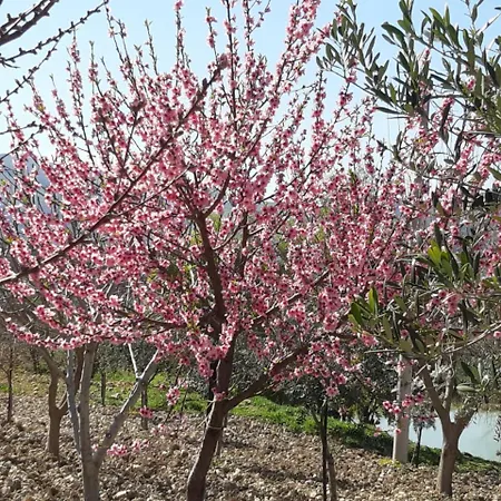 Casa Luce בית כפרי Caltabellotta